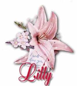 lilly.gif